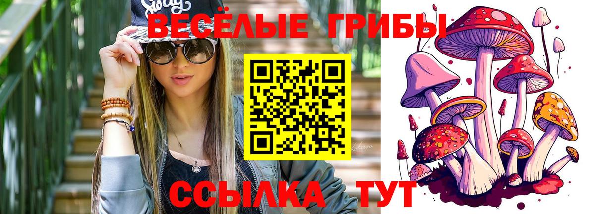 Галлюциногенные грибы GOLDEN TEACHER Курчатов