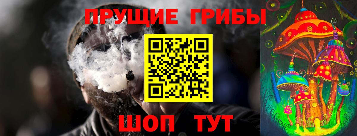 Псилоцибиновые грибы Cubensis  Вход с VPN  Курчатов 